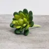 Venda Quente Transfronteiriça Cabeça de Flor Suculenta Simulada DIY Planta Flor Artificial Criativa Estilosa Planta Verde Decoração de Casa Fabricante da Fonte