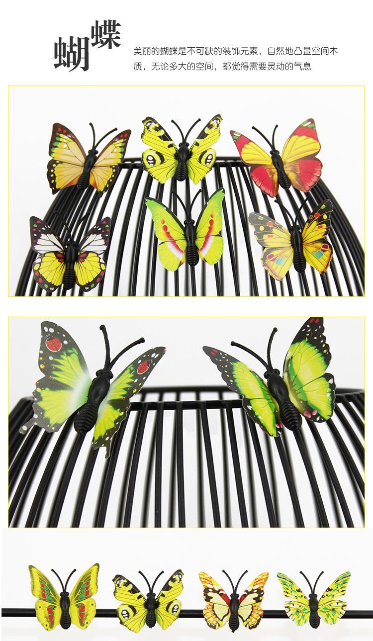 蝴蝶1_17.jpg