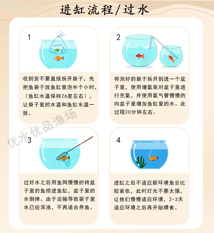 店铺说明和流程3