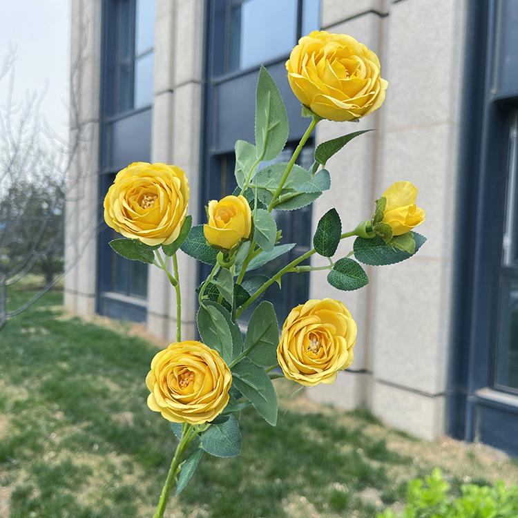 6头花蕊小玫瑰-sxlzjx-黄色.JPG