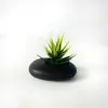 Simulação Transfronteiriça Mini Suculenta Planta Verde Ornamento Simulação Planta Verde Planta em Vaso Indoor Decoração de Escritório em Casa Flor Artificial Trabalhador