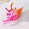 Nuevo Clip de Concha Colorida Serie Oceánica Transfronteriza para la Parte Trasera de la Cabeza Pinza de Tiburón Pasador Accesorios para el Cabello Lindos Creativos