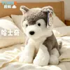 Juguetes de Peluche Lindos y Suaves de Golden Retriever y Husky en Posturas Sentadas, Muñecos Reconfortantes para Niños, Mayoreo