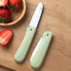 Regalo Cuchillo de Fruta Plegable de Acero Inoxidable Portátil Cuchillo para Melón Pelador Hogar