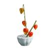 Vajilla de Flor de Loto Cerámica, Maceta para Arreglo Floral Chinoiserie, Mesa de Remojo Seco, Utensilios Hidropónicos, Tapete para Té, Platillos Decorativos, Accesorios para Ceremonia del Té