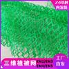 Red de vegetación tridimensional protección de taludes fábrica tres capas reforzada rociado pasto geotextil tridimensional exportación red de vegetación tridimensional