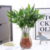 Bambu Repelente de Mosquitos Hidropônico, Bambu Rico, Mudas de Plantas Cultivadas em Água, Plantas Verdes de Mesa para Sala de Estar Interna, Flores em Vaso e Bonsai