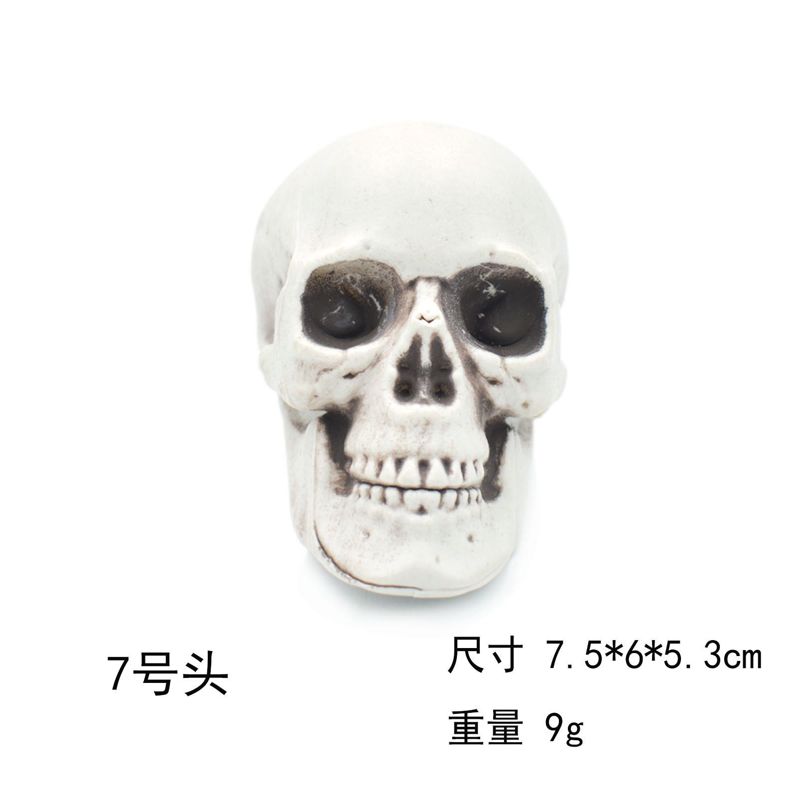 7号头