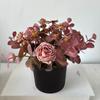 Burbuja Rosa Manzanilla Bonsái Flor Artificial Flor de Plástico Decoración Floral Mayoreo
