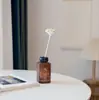 Accesorios para Difusor de Aroma Transfronterizo Palitos de Ratán con Forma de Planta Palitos Evaporadores de Agua para Ambientador sin Llama
