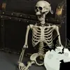 Explosiones Transfronterizas cos Adornos de Esqueleto Escena de la Cámara Secreta de la Momia Decoración de Casa Embrujada Accesorios de Terror Esqueleto
