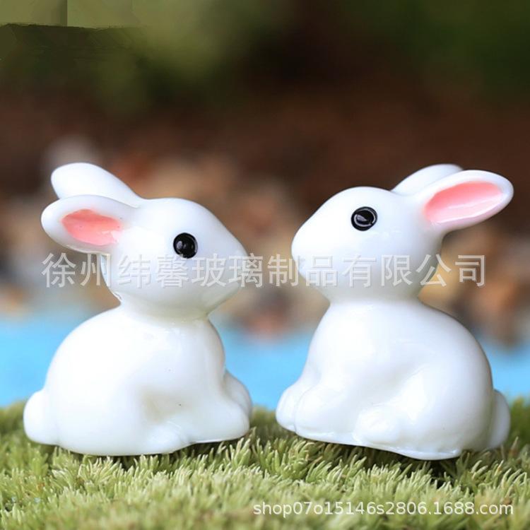 小白兔