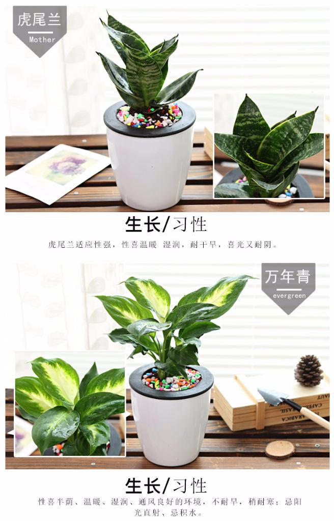 璇︾粏9