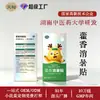 Ai Yu Patch de Alívio de Calor para Viagem ao Ar Livre Agastache Caixa Portátil Diário para Pele Embalagem Externa Gráfica e Estilo de Texto Personalizável