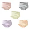 Calzones Personalizados para Mujer, Alta Elasticidad, No Aprietan la Piel, Ropa Interior para Mujer, Suministro OEM/ODM para Minoristas Offline y Supermercados