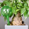 Amazon Bola de Vidrio Imitación Dispositivo Automático para Regar Flores Dispositivo de Riego Gotero de Viaje Herramientas y Suministros de Jardinería