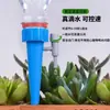 Dispositivo Automático para Regar Flores, Dispositivo de Rega para Preguiçosos, Irrigador Automático por Gotejamento, Dispositivo de Rega por Gotejamento, Dispositivo de Infiltração de Água, Rega de Flores Controlada por Temporizador