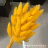 Rabo de Conejo Seco Flor Seca Ramo Flor Real Flor Inmortal Hierba de Cola de Perro Decoración del Hogar Materia Prima Fábrica Disparo Accesorios