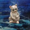 Colgante para acuario de gatito decoración de paisaje para acuario maceta maceta tumbada decoración colgante de pared para borde de acuario de gatito lindo