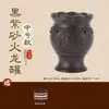 Caja de Moxibustión Dragón de Fuego de Piedra Bian, Caja Especial de Moxibustión de Medicina Tradicional China, Dispositivo de Moxibustión Portátil, Equipo de Moxibustión para el Hogar, Caja de Moxibustión de Piedra Bian