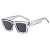 Gafas de sol negras Yang Zi del mismo estilo para mujer 2025, nuevas gafas de sol Sense Ins de alta gama con protección solar UV para sesiones de fotos callejeras para hombres