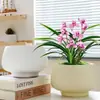 Maceta de Cerámica Simple para Uso Doméstico con Plato, Venta al por Mayor Transfronteriza Temu, Específicamente para Orquídeas Phalaenopsis y Plantas Suculentas