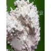 Pó de Fibra de Vidro Moída Pó de Fibra de Vidro Alcali-Livre Pó de Fibra de Vidro Fibra de Vidro Moída