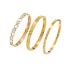 Estilo Old Money Elegante Simples Luxuoso Coração de Pêssego Zircônia Pulseira para Meninas Aço Titânio de Alta Qualidade Venda Quente Europeia e Americana