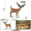 Crianças Simulação Veado-de-cauda-branca Animal Alce Veado Sika Modelo Ornamentos Sólidos Conjunto Brinquedos de Natal