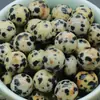 Bola no porosa 8mm bola ágata verde natural Dongling diy Bola de piedra no porosa venta al por mayor