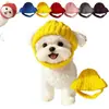 Set de Sombrero y Bufanda Tejidos para Mascotas, Universal para Gatos y Perros, Calentador de Cuello para Primavera y Otoño, Venta al por Mayor desde Fábrica, Accesorios para Salidas de Mascotas