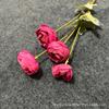 Adornos Decorativos Simulados de Rosa de Té de 4 Cabezas, Flores Artificiales de Seda para Bodas, Arreglos Florales Artificiales de Camelia para Uso en Bodas