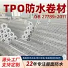 Membrana impermeable TPO, membrana impermeable autoadhesiva, membrana autoadhesiva de asfalto, soporte reforzado tipo P, impermeabilización expuesta y no expuesta