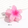 Venta al por mayor Europeo y Americano Transfronterizo Clip de Frangipani Clip para el Cabello de Bauhinia Moda para Mujer de Alta Gama Clip de Tiburón Clip para el Cabello Joyería