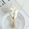 Ramo Mini de Flores Secas Transfronterizo de 12 cm, Flores Reales, Rosas, Gypsophila, Regalo, Ramillete, Decoración de Coche, Decoración Hecha a Mano