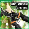 Tijeras de jardinería al por mayor, tijeras de podar para árboles frutales, tijeras de jardinería, tijeras para ramas, tijeras de podar para flores, tijeras para recolectar fruta.