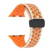 Adecuado para la serie Apple Watch Ultra9876543210, correa de silicona con hebilla magnética plegable de panal bicolor