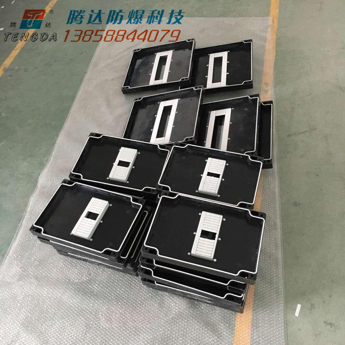 防爆箱 塑料防水型