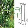 Soporte para Plantas Vid Rosa Clematis Enrejado Trepador Soporte para Plantas de Jardín Soporte para Flores Balcón Soporte para Plantas en Maceta Jardinera
