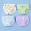 Ropa interior linda de dinosaurio para adolescentes, niñas, triángulo, dibujos animados, dulce, para estudiantes de primaria y secundaria, triángulo, femenino