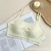 Roupa íntima feminina sem aro para estudantes do ensino fundamental e médio, tipo tubo com alças, anti-deslocamento, com bojo leve fixo, sutiã tipo copo de papel para peito