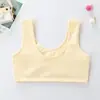 Ropa interior de algodón puro para niñas, estilo fino, adecuada para la etapa de desarrollo, sujetador de algodón puro para niñas de primaria, sujetador deportivo con diseño anti-abulto, chaleco pequeño acolchado