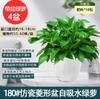 Plantas Verdes em Vaso para Casas Novas Internas, Remoção de Formaldeído, Plantas de Escritório Fáceis de Cuidar, Plantas de Sala de Estar, Trepadeiras Longas, Plantas Verdes Pendentes