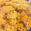 Yunnan Multicolor Bola Dourada Material de Flor Imortal Atacado Decoração Criativa DIY Mobiliário para Casa Flor Real Buquê de Flor Seca