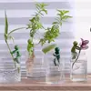 Ferramenta de suporte para plantas hidropônicas para crescimento e prevenção de tombamento, decoração de mesa, fixador de jardinagem