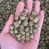 Fruta seca de frambuesa de Zhejiang grande 500g bandeja pequeña panecillo negro agricultores recogen directamente frambuesa de ocho sabores de Zhejiang no frambuesa