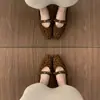 Zapatos de Tacón Elegantes para Mujer con Lazo Estilo Ballet 2026 Nuevo Estilo Aumentadores de Altura Suela Gruesa Estampado de Leopardo Zapatos Mary Jane para el Trabajo