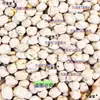 Garbanzos de medicina herbaria china 500 g, garbanzos crudos de Xinjiang, frijoles de pollo, frijoles durazno, sustituto de comida, producto nuevo, sin azufre