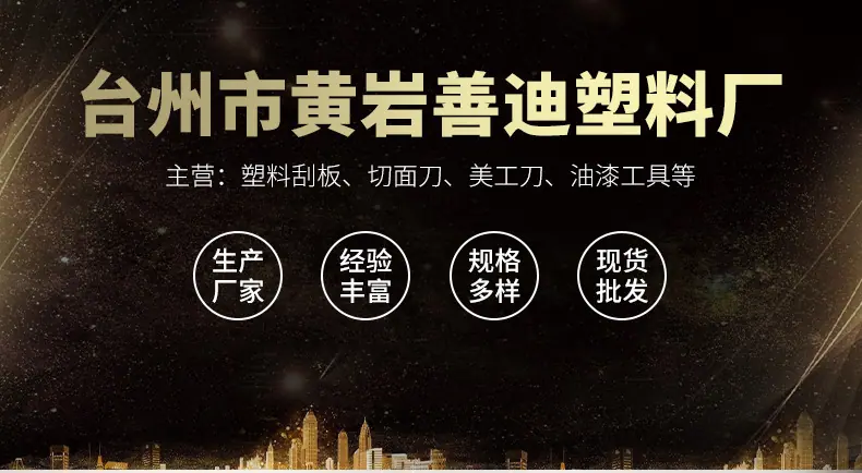善迪-1