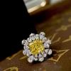 Anillo Elegante de Plata Esterlina S925 con Borde Plateado, Lujo de Industria Pesada, Brillante Río de Estrellas, Racimo de Flores Super Flash para Mujer